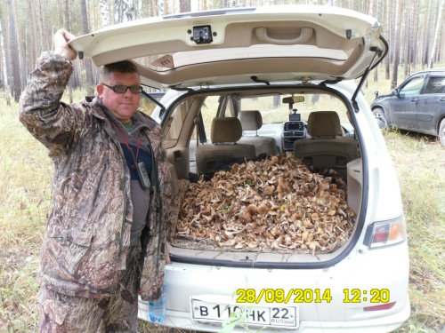 Воскресный урожай. Съездили на разведку.