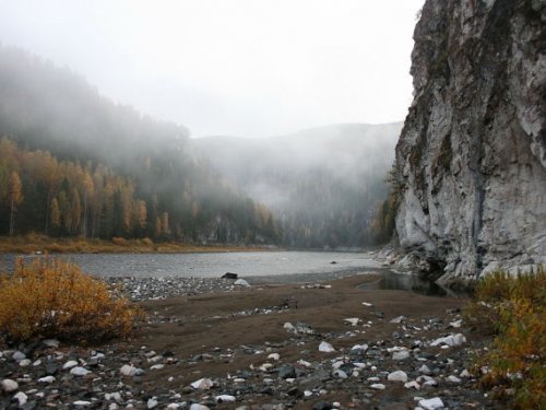 осенний туман
