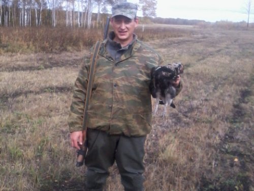 Полезный червяк