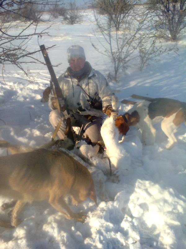 закрытие 2014 год на улице -25 а мы на охоте и удачно 2 русак 1 беляк и лисовин !а все благодаря собачкам