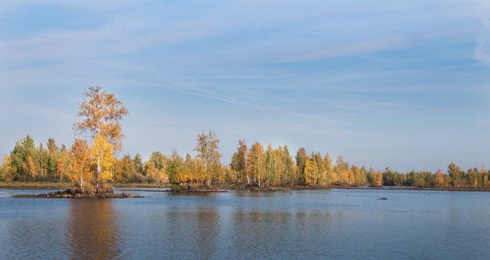 Осенний пейзаж