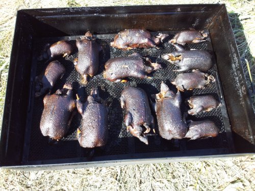 Черненькие. ( для Борец)