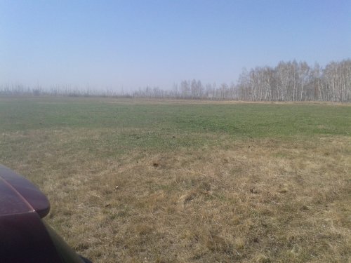 поляна
