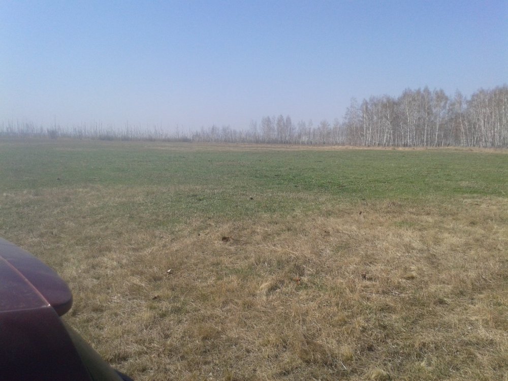 поляна