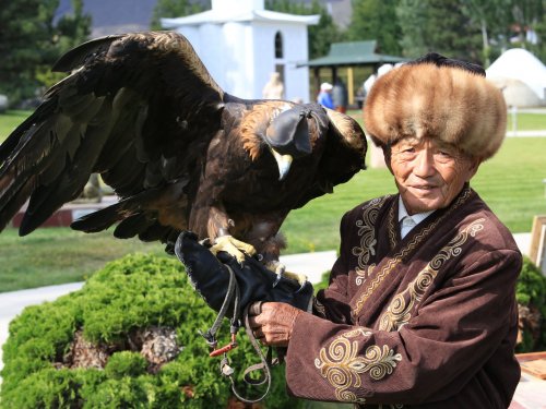 Беркутчи