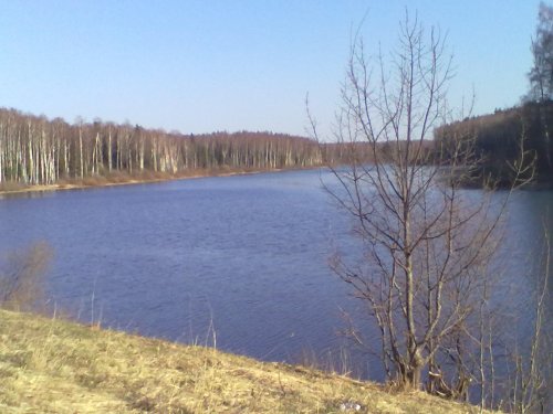 красота