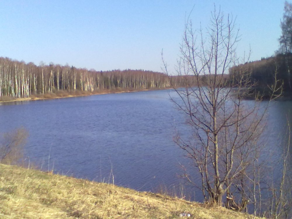 красота