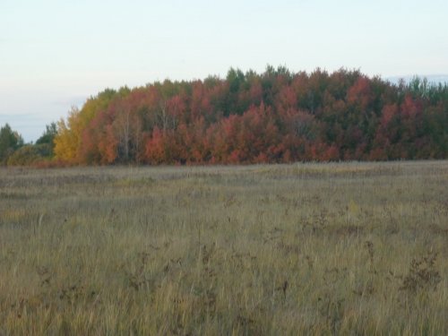 осень 1