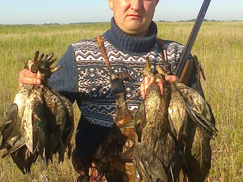 открылся 2014
