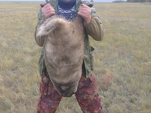 зачетный!!!!