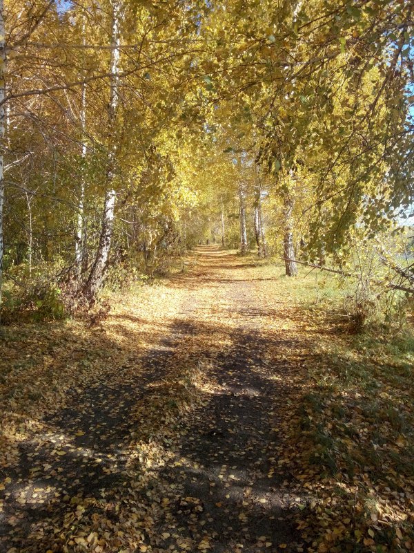 Осень в Кашламе