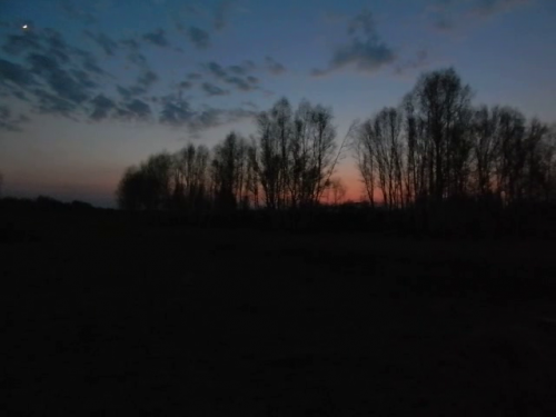 С возвращением.