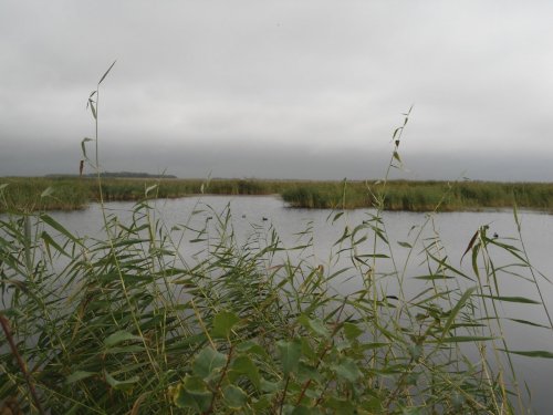 утрянка
