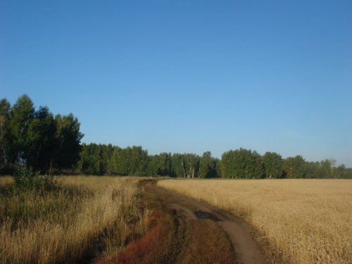Полевая дорога.