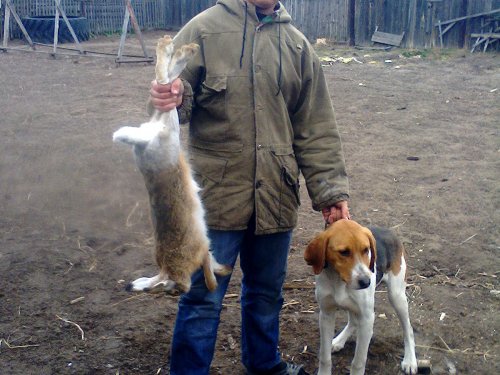 2013 год