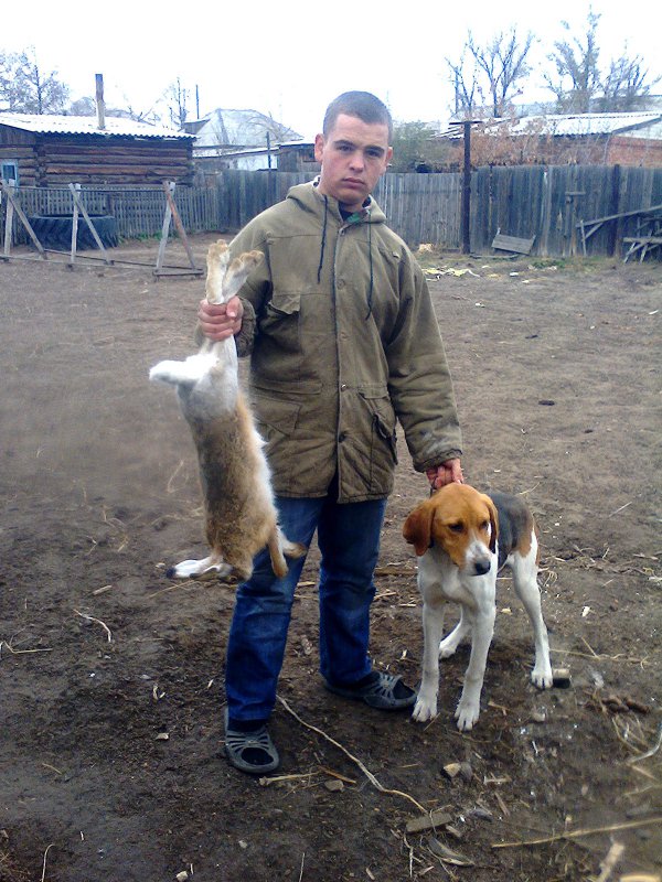 2013 год