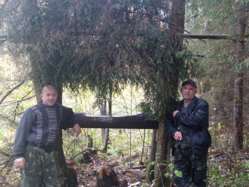 поможем братьям нашим меньшим