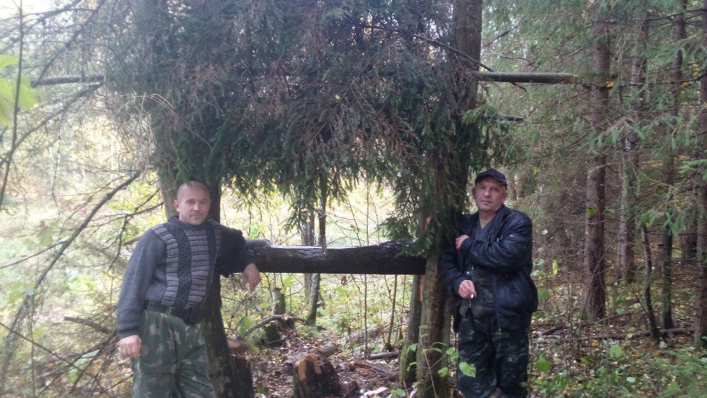 поможем братьям нашим меньшим