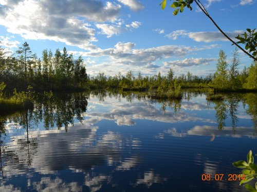 утиные раздолья