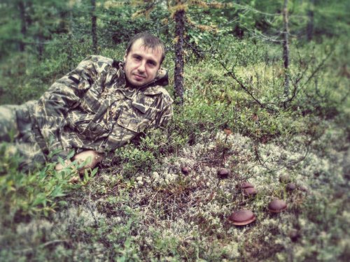 грибная охота