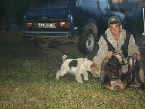 Барсучки