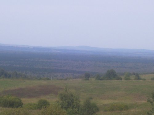 За туманом и за запахом тайги.