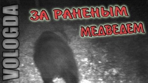 Охота на медведя.