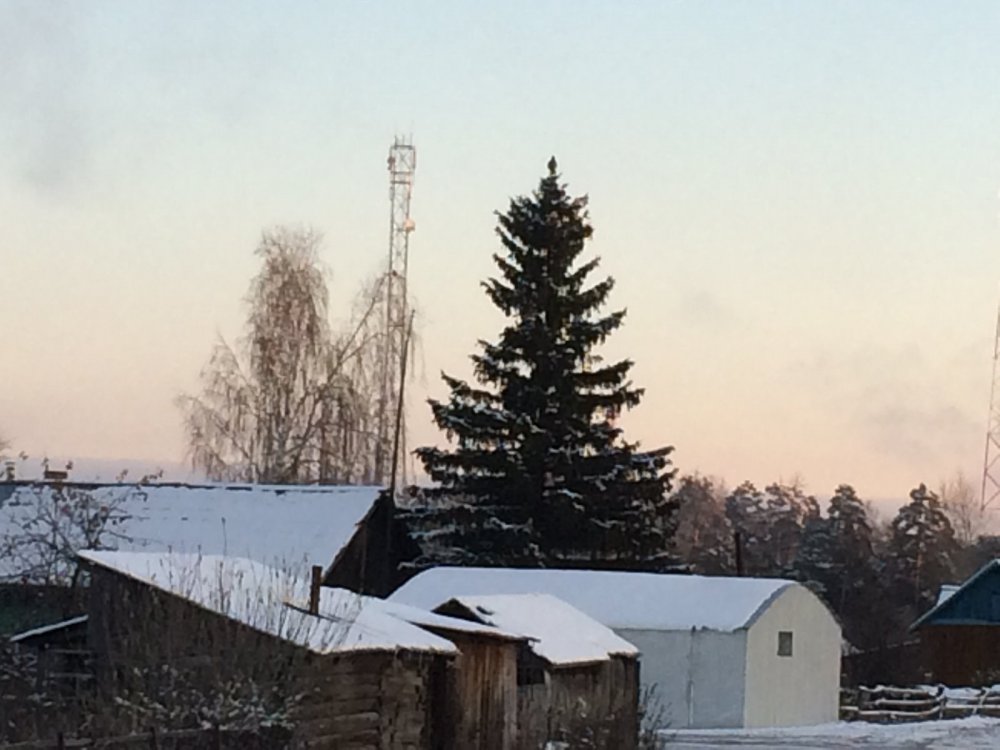 Глухарь в центре Белоярки