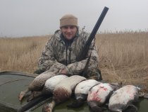 Image description