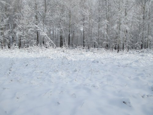 Зима