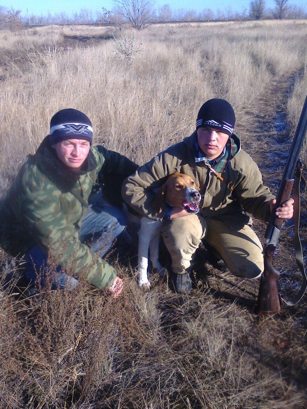 2013 год