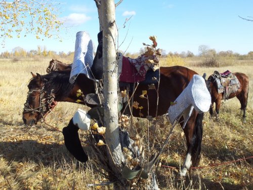 Гости.