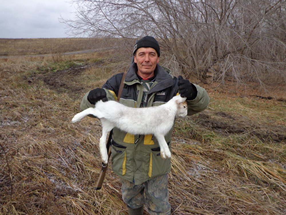 Зайчик-2.