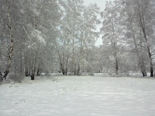 Открытие осень 2014