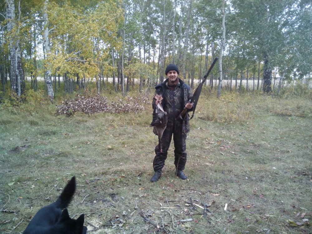 Гусик осенний!