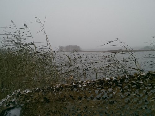 Ждем северную.17.10.14