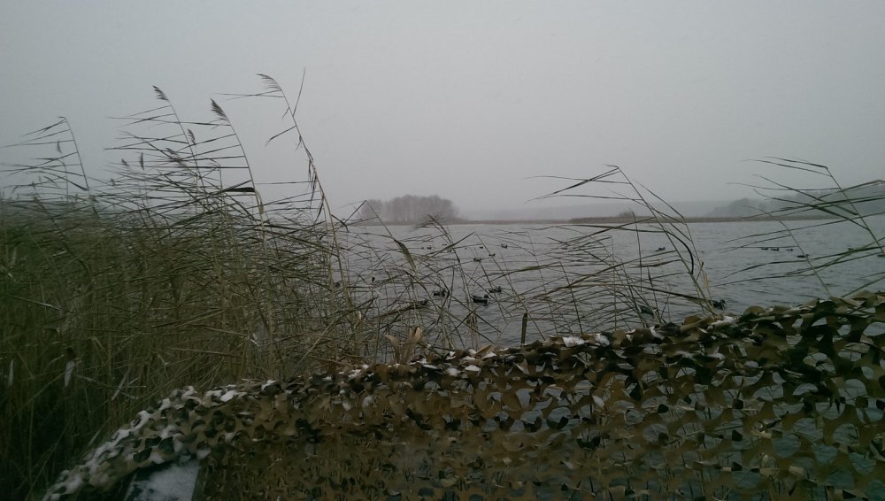 Ждем северную.17.10.14