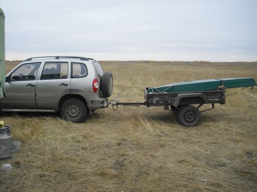 Северный гоголь в красках зари.