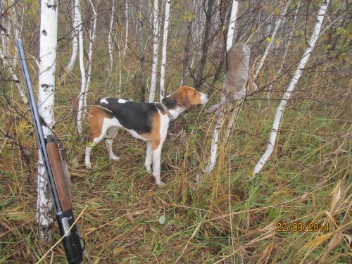 Забавка!