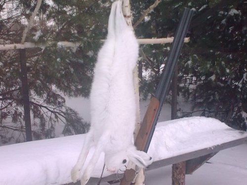 сезон 2013