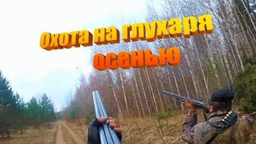 Охота на глухаря осенью! Охота осенью в Вологде! Глухарь.