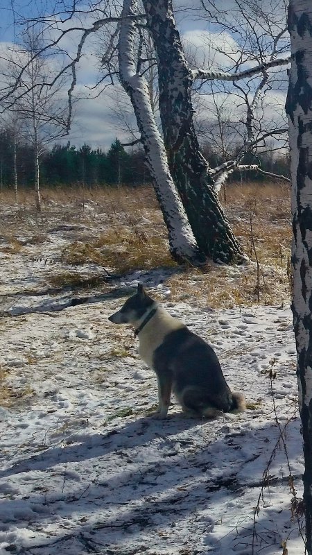 "Что за... Еще вчера была осень же..."