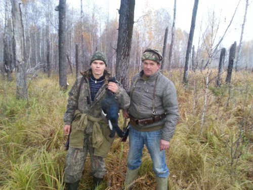Красавец тетерев
