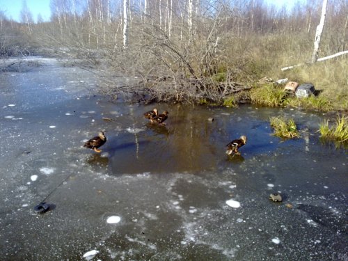 Закрытие по водоплавающей в Московской области