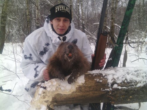 бобрик