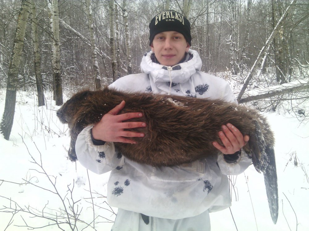 хомяк