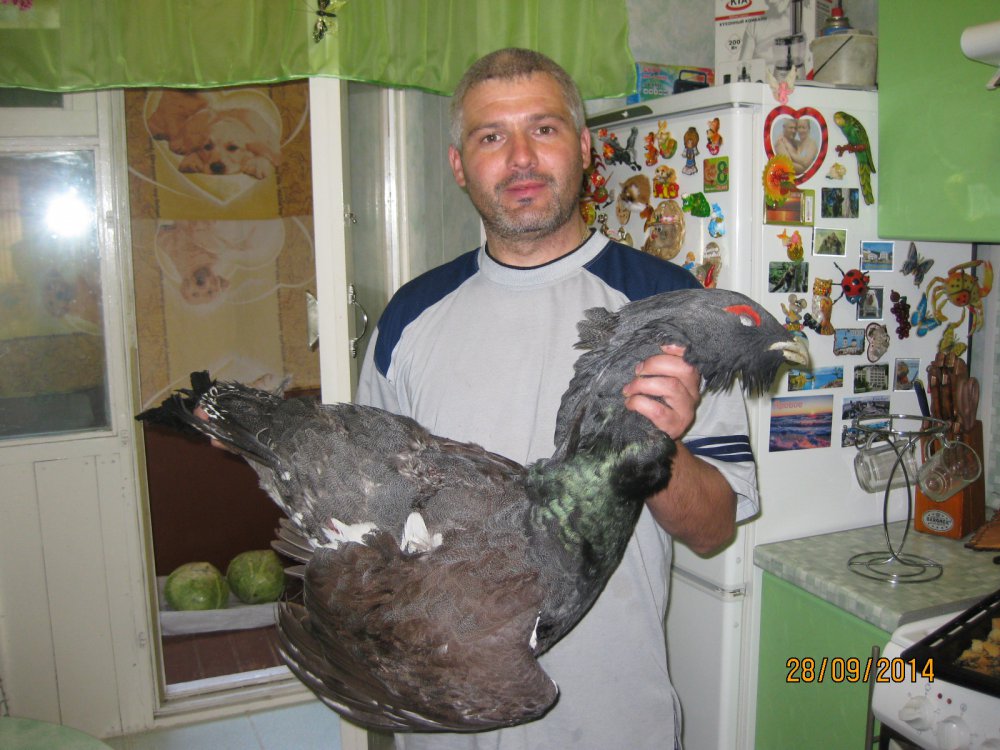 осень 2014