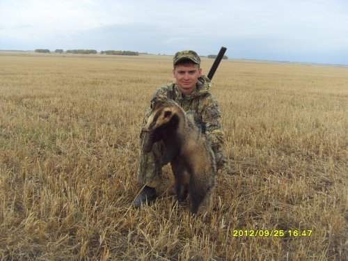 Барсук)))