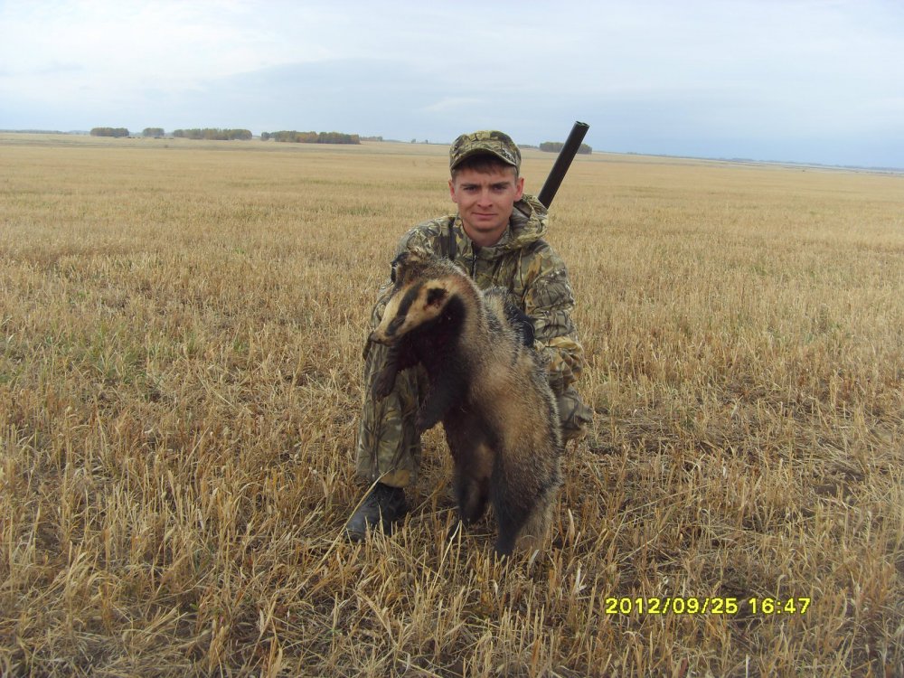 Барсук)))