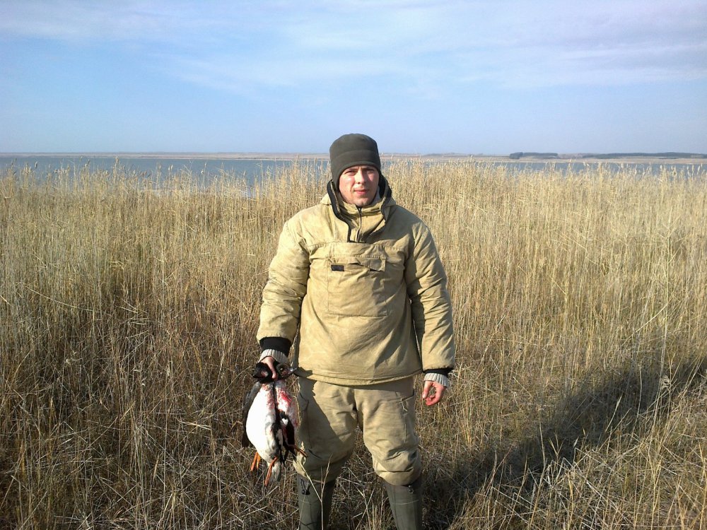 гоголя маркова острова
